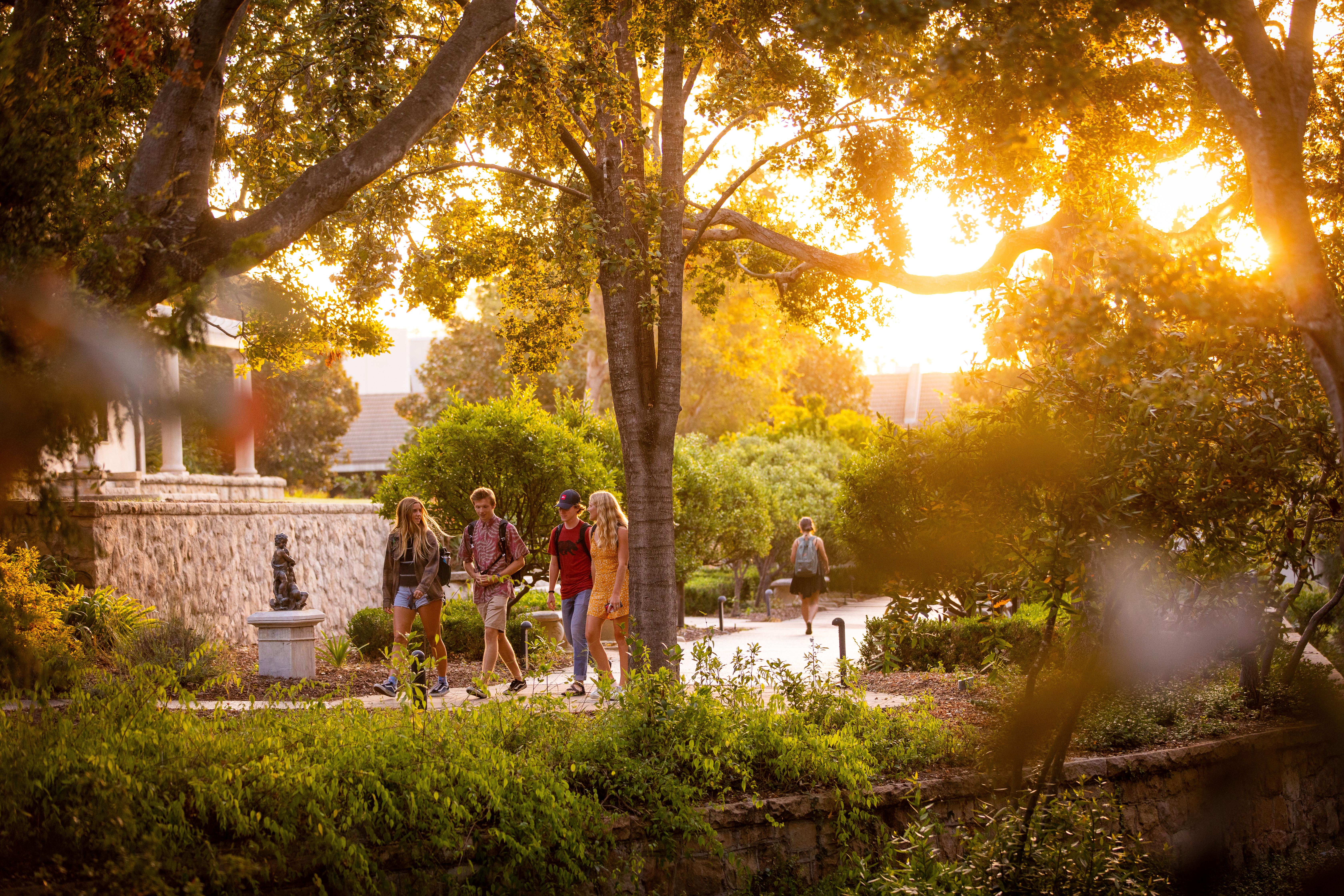 students walking on campus in golden sun